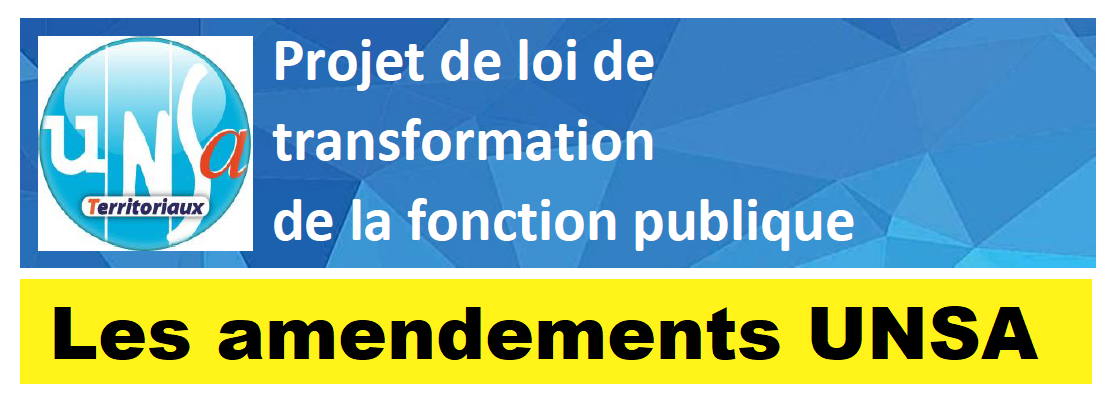 Projet de loi de transformation de la fonction publique : L’UNSA continue à défendre les agents publics et le service public